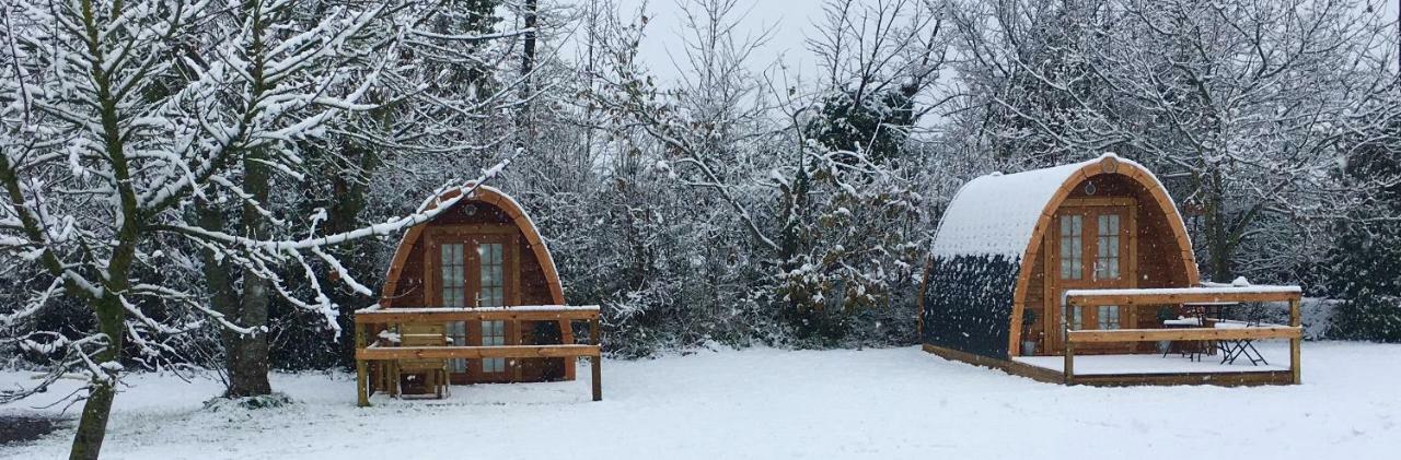 Glamping At Treegrove Hotel Kilkenny Exterior foto