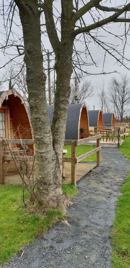 Glamping At Treegrove Hotel Kilkenny Exterior foto